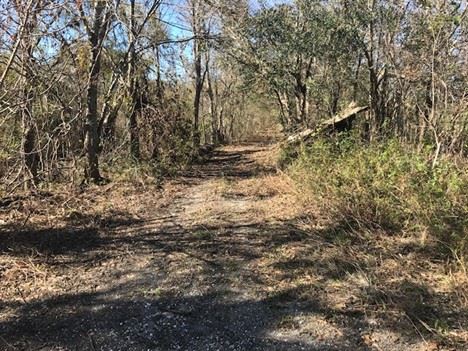 Area View toward Levee